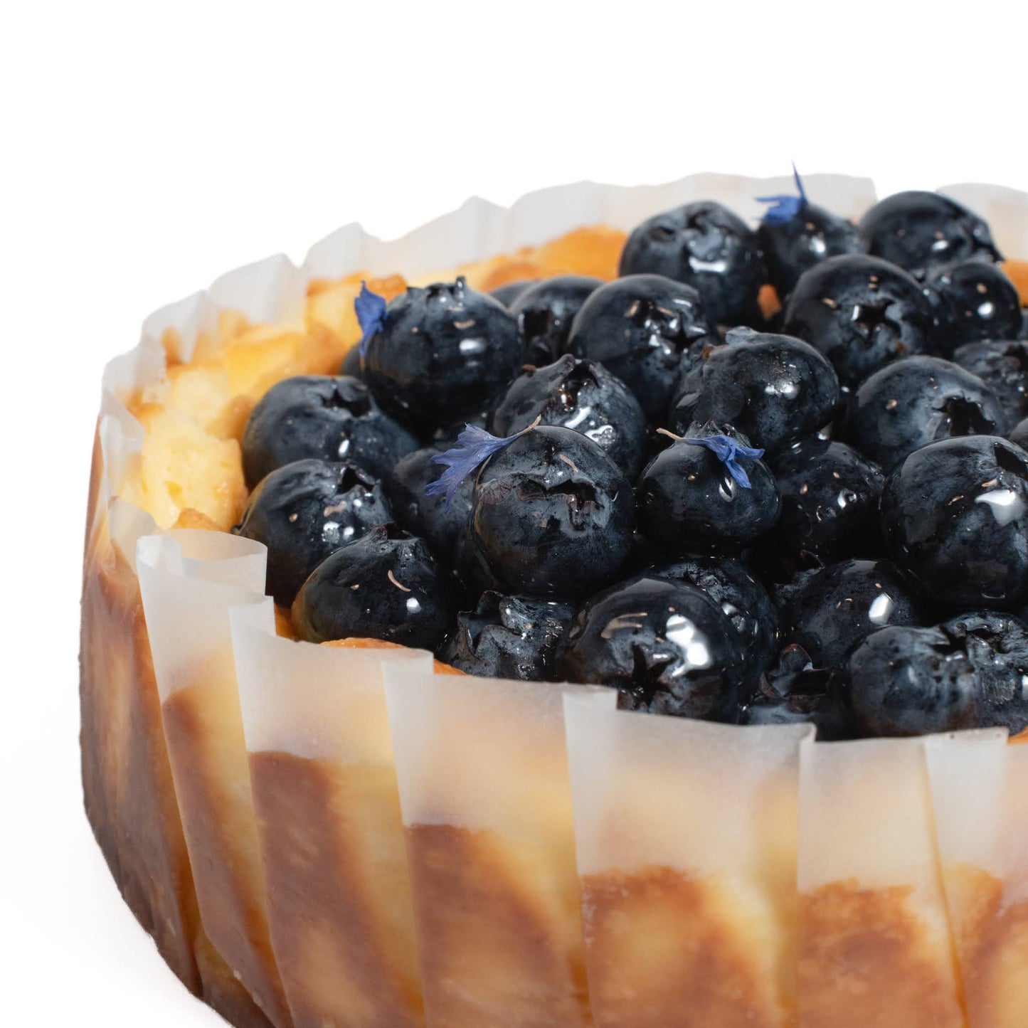 Blueberry Cheesecake