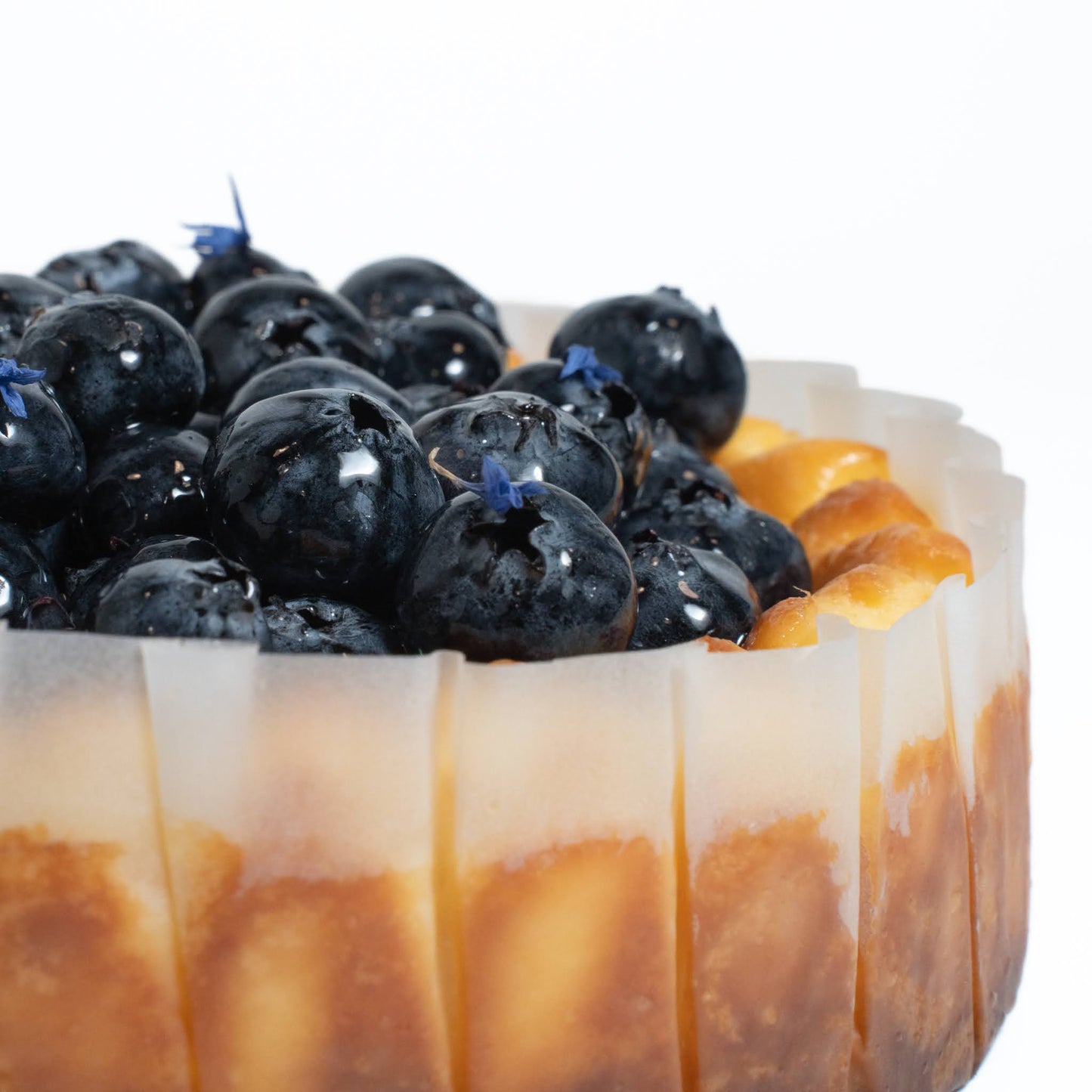 Blueberry Cheesecake