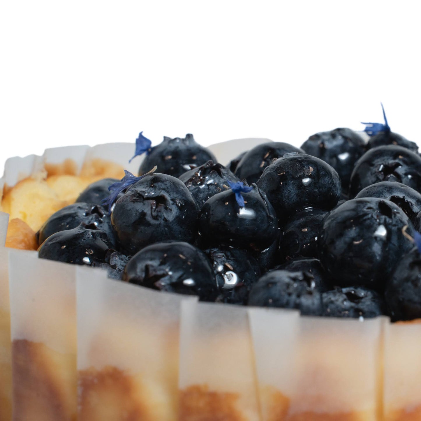 Blueberry Cheesecake